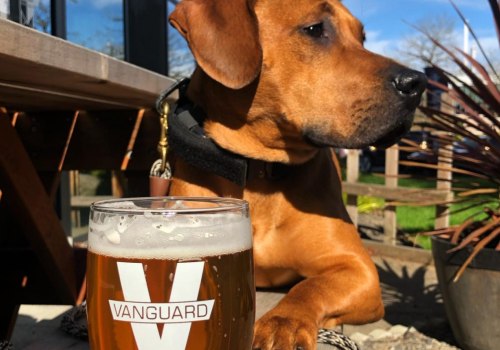 Brewery Events in Clackamas County, Oregon: Can You Bring Your Dog?